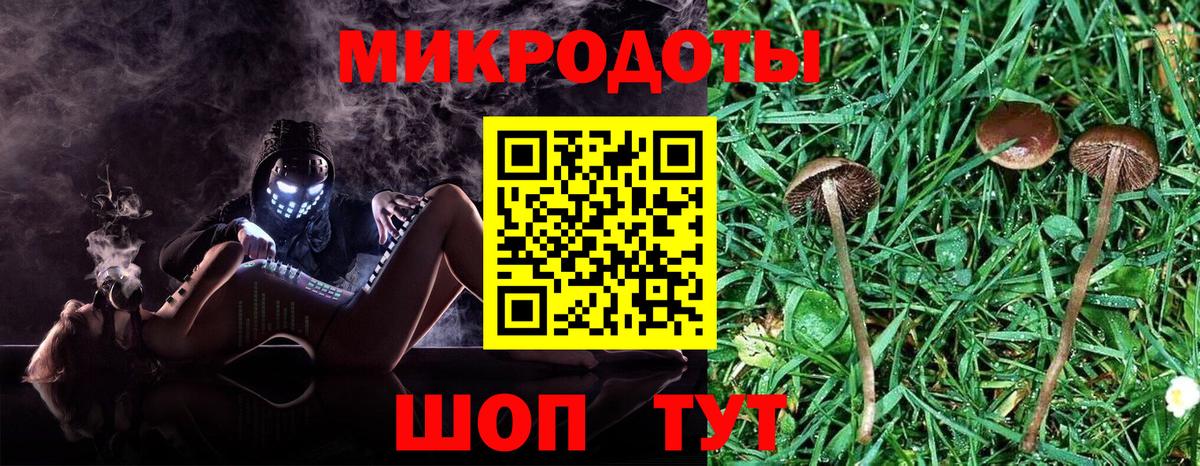 Псилоцибиновые грибы Magic Shrooms Вичуга