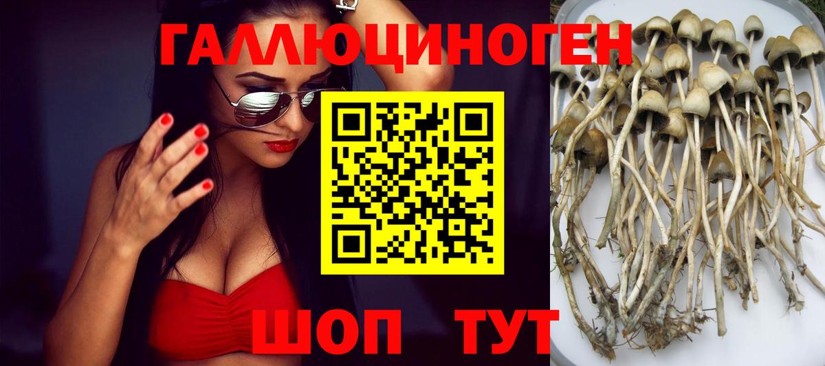 Галлюциногенные грибы прущие грибы  Вход с VPN  где купить наркотик  Галлюциногенные грибы GOLDEN TEACHER  Вичуга 